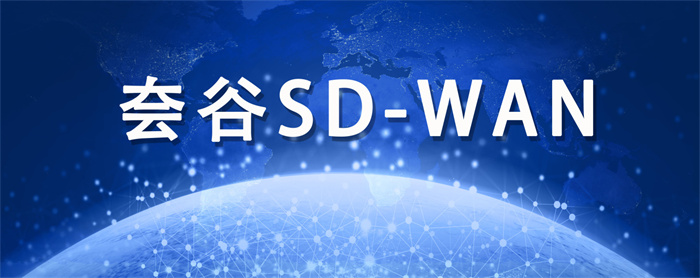 SD-WAN廠商