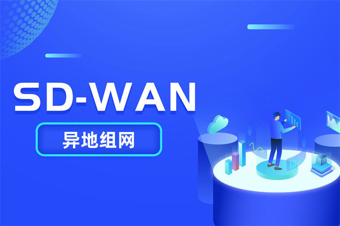 企業(yè)異地組網(wǎng)方案怎么選