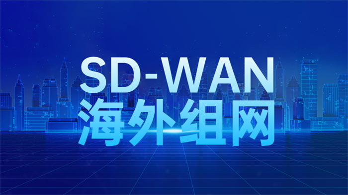 跨國sdwan組網方案