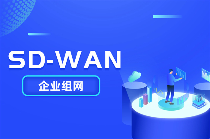海外sdwan組網適用于哪些企業 海外sdwan組網適用于哪些企業