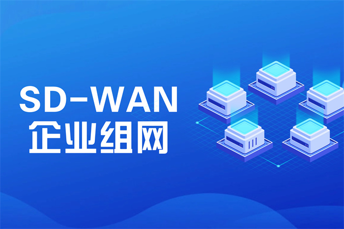 sd-wan組網方案有哪幾種