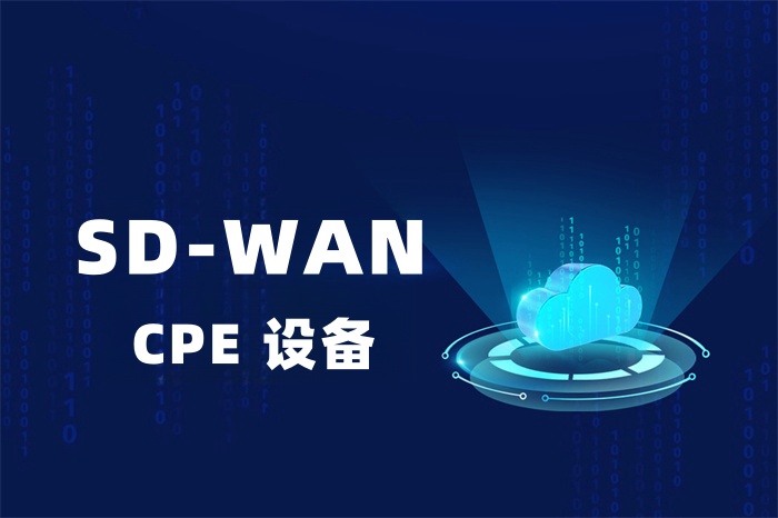 SD-WAN CPE設(shè)備