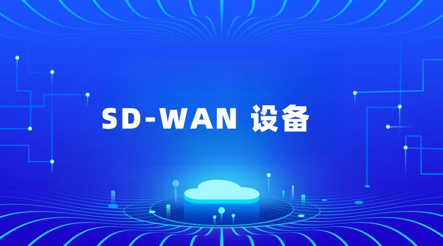 sdwan組網用到哪些設備