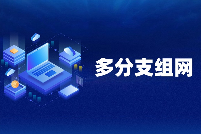 企業(yè)多分支組網(wǎng)的方式有哪些