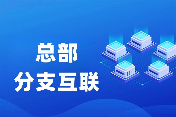 企業如何組建內部局域網
