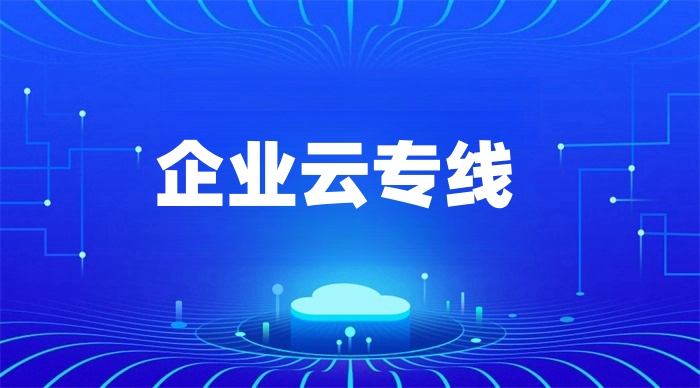 sdwan接入使用專線嗎