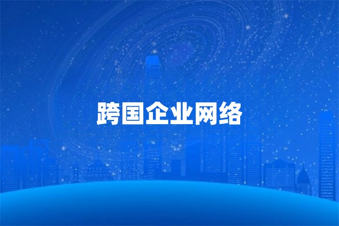 跨國企業網絡怎么解決？