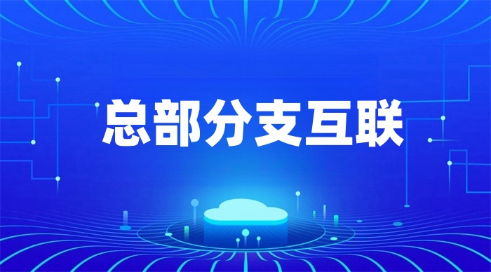 總公司如何與分公司進行組網(wǎng) 總公司如何與分公司進行組網(wǎng)