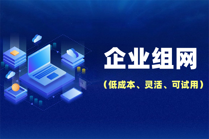 分公司怎么接入總部網絡