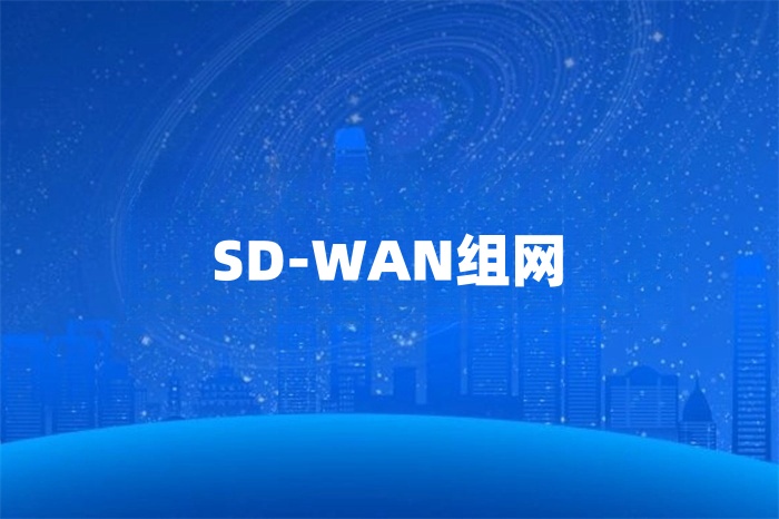 如何通過sd-wan網絡進行組網
