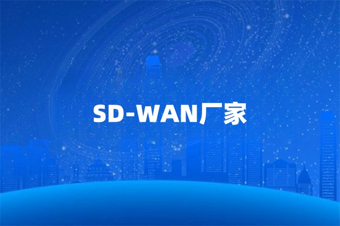 sdwan廠家