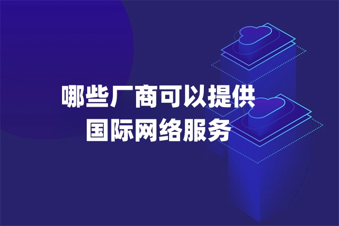 哪些廠商可以提供國際網(wǎng)絡(luò)服務(wù)