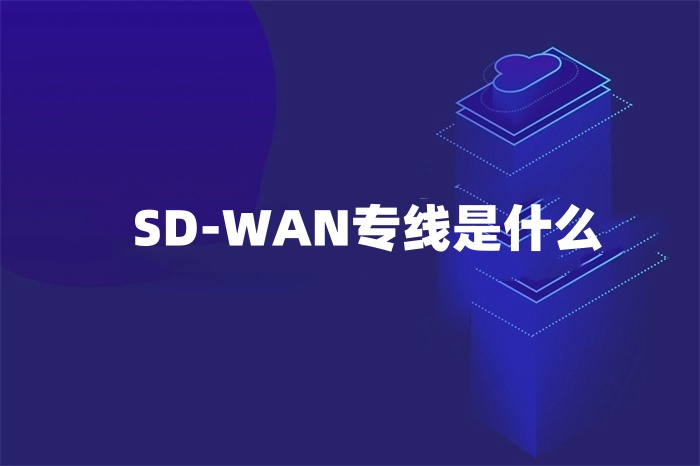 SD-WAN專線是什么