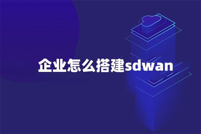 企業怎么搭建sdwan