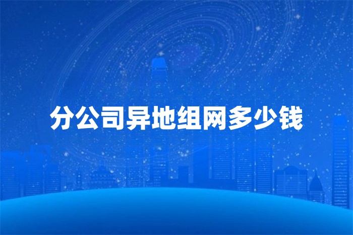 分公司異地組網(wǎng)多少錢