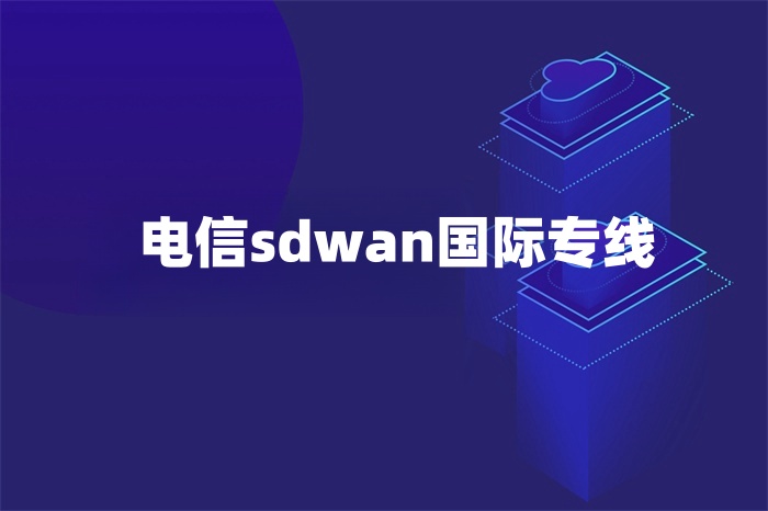 電信sdwan國(guó)際專線