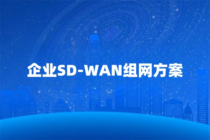 企業(yè)SD-WAN組網方案