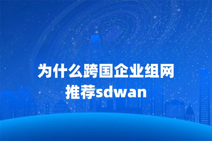 為什么跨國企業組網推薦sdwan