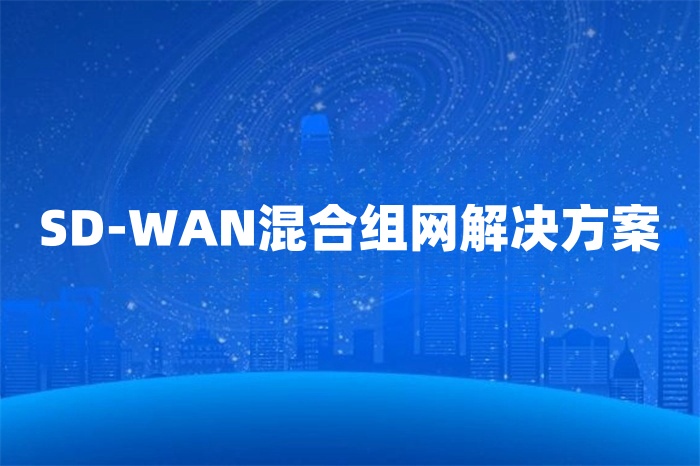 SD-WAN混合組網解決方案