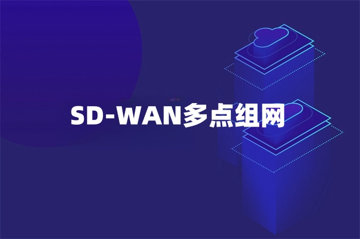 SD-WAN多點組網(wǎng)