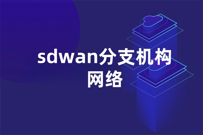 sdwan分支機構網絡