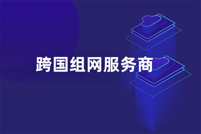 跨國組網(wǎng)服務(wù)商