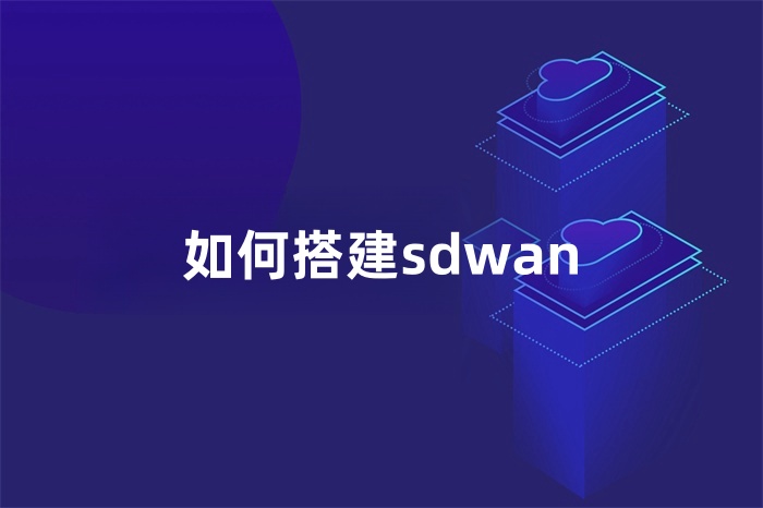 如何搭建sdwan