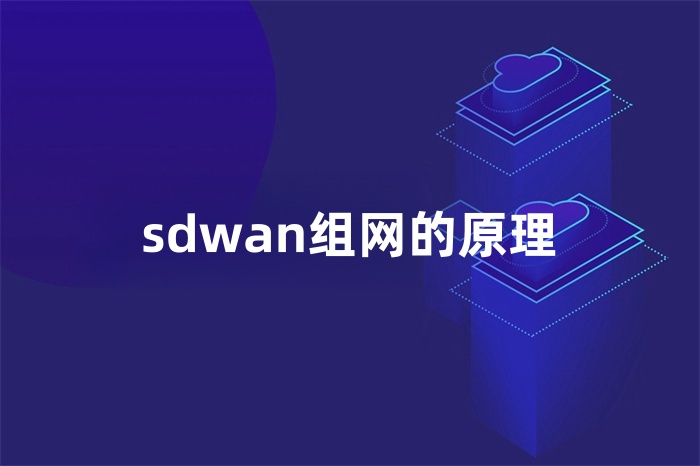 sdwan組網(wǎng)的原理
