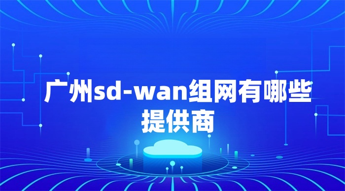 廣州sd-wan組網(wǎng)有哪些提供商