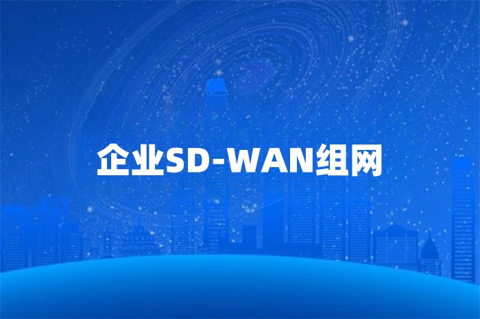 企業SD-WAN組網