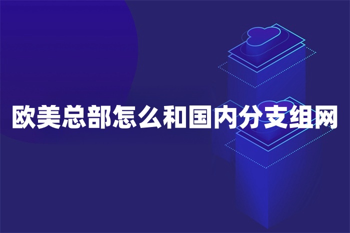 歐美總部怎么和國內分支組網