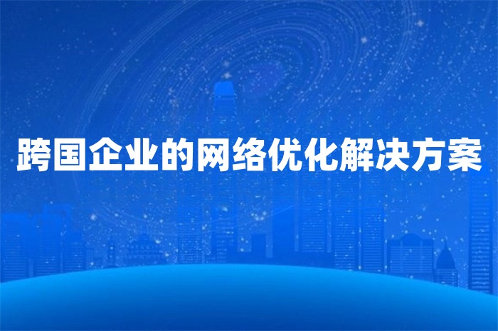 跨國企業(yè)的網(wǎng)絡(luò)優(yōu)化解決方案