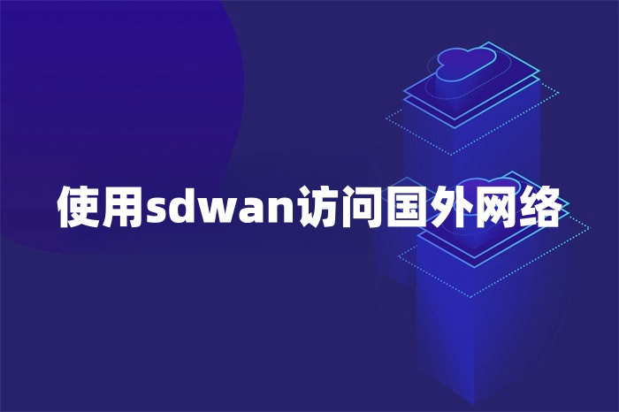 使用sdwan訪問國外網(wǎng)絡