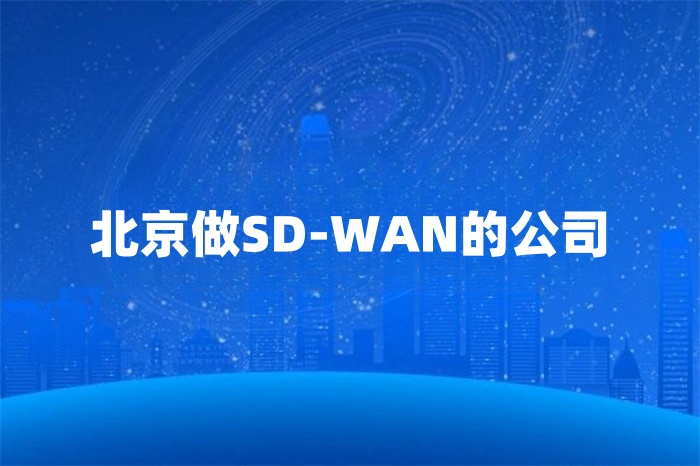北京做SD-WAN的公司