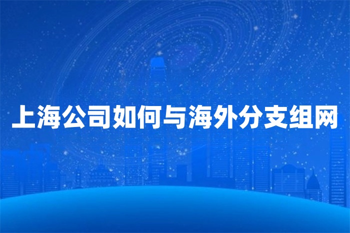 上海公司如何與海外分支組網