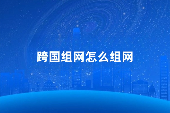 跨國組網怎么組網