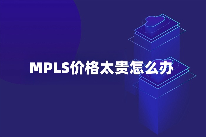MPLS價格太貴怎么辦