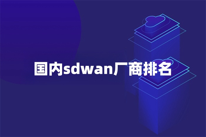 國內sdwan廠商排名