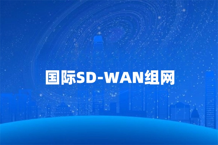 國際SD-WAN組網(wǎng)