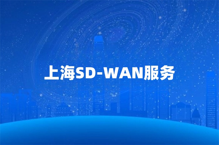 上海SD-WAN服務