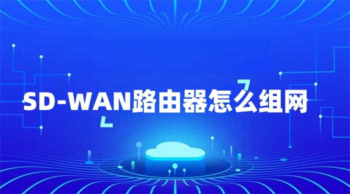 SD-WAN路由器怎么組網