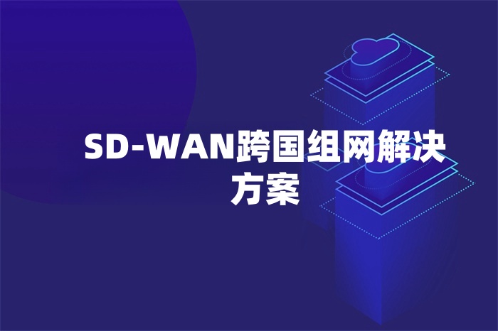 SD-WAN跨國組網解決方案