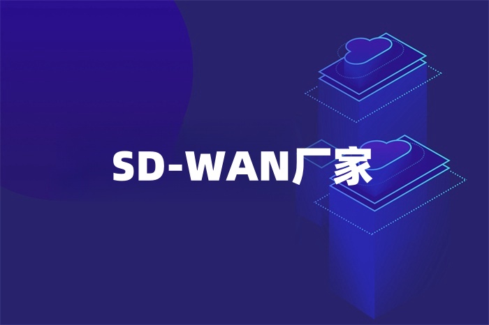 SD-WAN廠家